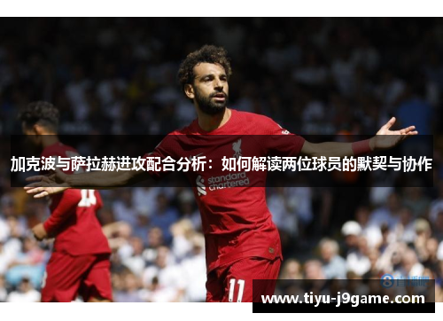 加克波与萨拉赫进攻配合分析：如何解读两位球员的默契与协作