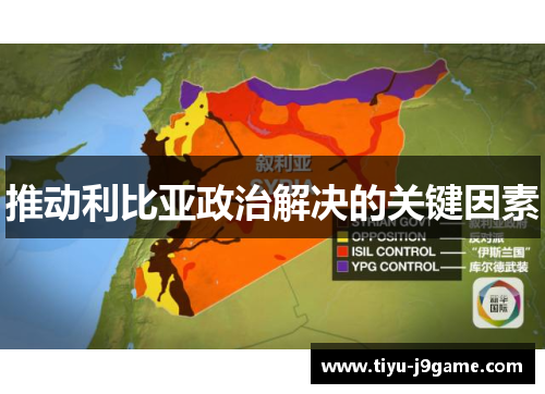 推动利比亚政治解决的关键因素