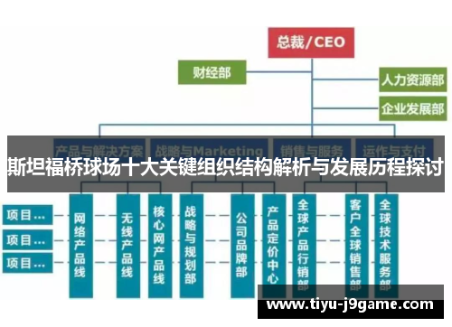 斯坦福桥球场十大关键组织结构解析与发展历程探讨