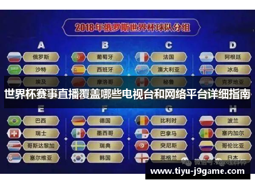 世界杯赛事直播覆盖哪些电视台和网络平台详细指南