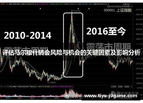 评估马尔穆什转会风险与机会的关键因素及影响分析 评估马尔穆什转会风险与机会的关键因素及影响分析
