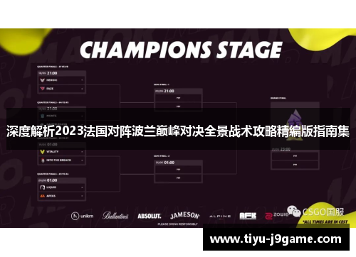 深度解析2023法国对阵波兰巅峰对决全景战术攻略精编版指南集