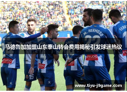 马德鲁加加盟山东泰山转会费用揭秘引发球迷热议