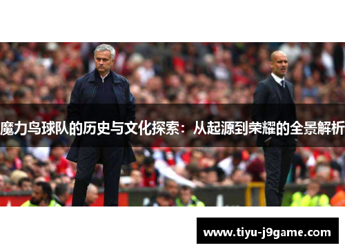 魔力鸟球队的历史与文化探索：从起源到荣耀的全景解析