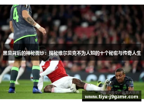 黑贝背后的神秘面纱：揭秘维尔贝克不为人知的十个秘密与传奇人生