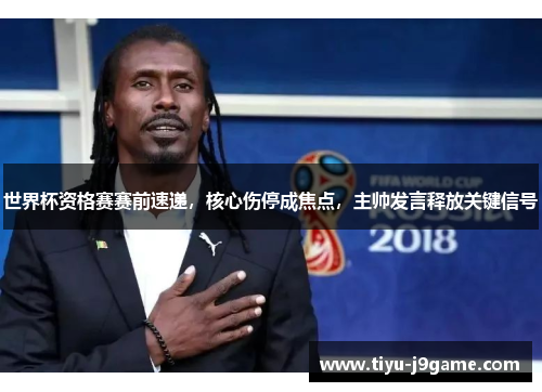 世界杯资格赛赛前速递,核心伤停成焦点,主帅发言释放关键信号 世界杯资格赛赛前速递,核心伤停成焦点,主帅发言释放关键信号