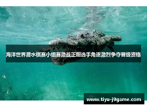 海洋世界潜水棋赛小组赛激战正酣选手角逐激烈争夺晋级资格 海洋世界潜水棋赛小组赛激战正酣选手角逐激烈争夺晋级资格